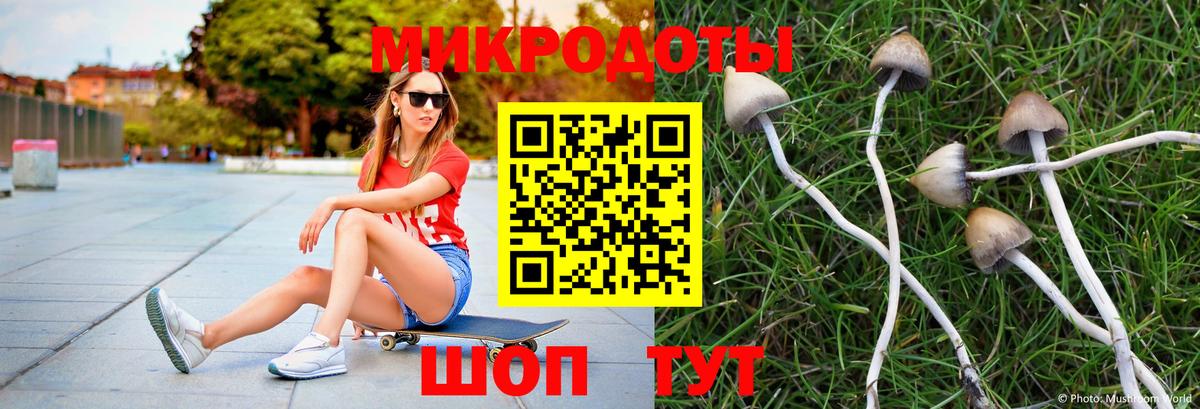 Псилоцибиновые грибы GOLDEN TEACHER Карталы