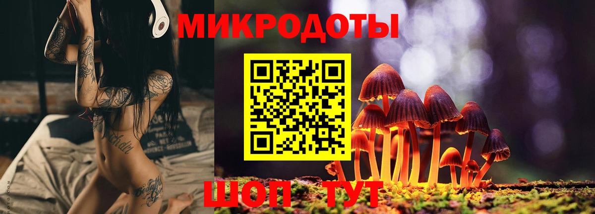 Галлюциногенные грибы Psilocybe  Псилоцибиновые грибы GOLDEN TEACHER  Карталы  где продают   Вход с VPN 